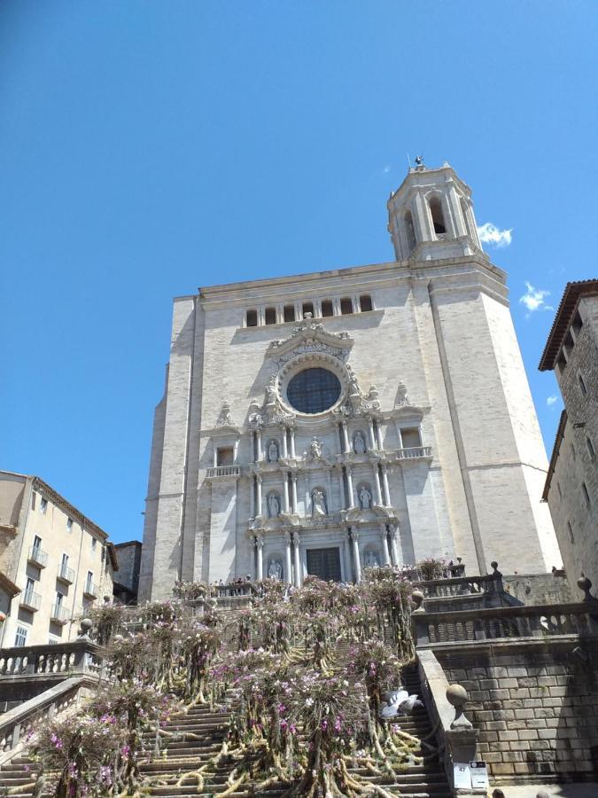 Centrico Y Acogedor * Gérone